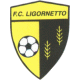 logo ligornetto