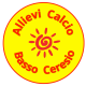logo ceresio